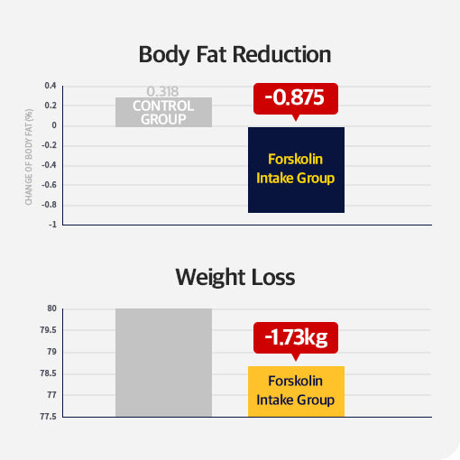 Sery Box Seryburn Night V2 – Nighttime Weight Loss Supplement